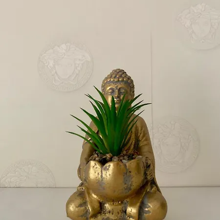 Perla Ulicy Piotrkowskiej W Samym Centrum Miasta *