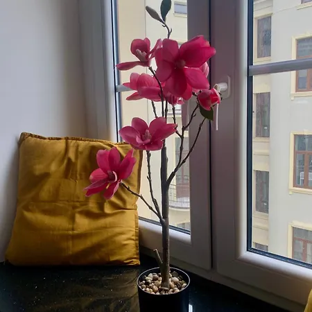 Perla Ulicy Piotrkowskiej W Samym Centrum Miasta * לודז'